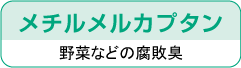 メチルメルカプタン